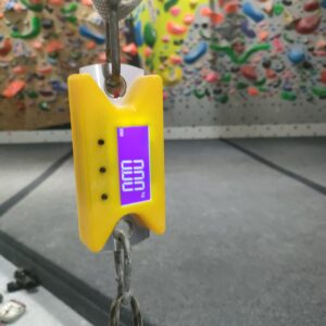 Bitxo